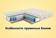 Особенности пружинных блоков  Особенности пружинных блоков